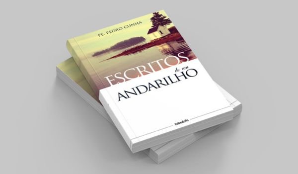 Livro Escritos de um Andarilho
